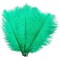 12-Pack Ostrich Feathers, Artificial Feather Plumes for Arts and Crafts, Faux Bird Plumage Trim for Costume and Outfit Decorations, 12-14-Inch Quills for Home Decor (Green)